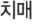 치매